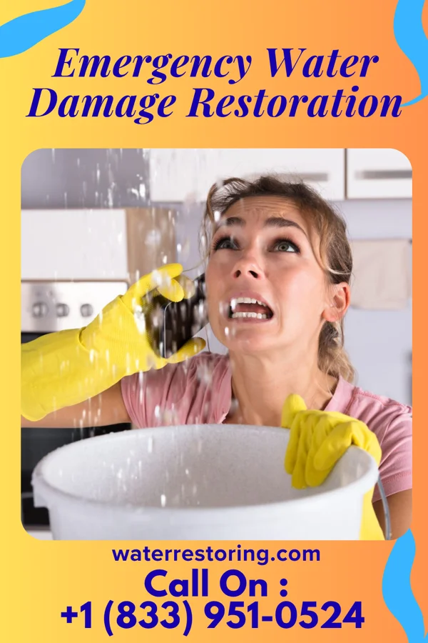 Emergency Water Damage Restoration in Walton, IN