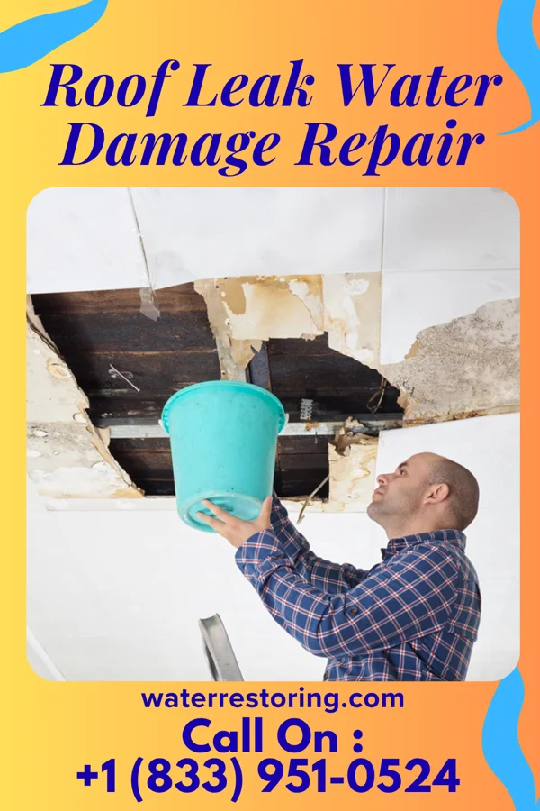 Roof Leak Water Damage Repair in Walton, IN